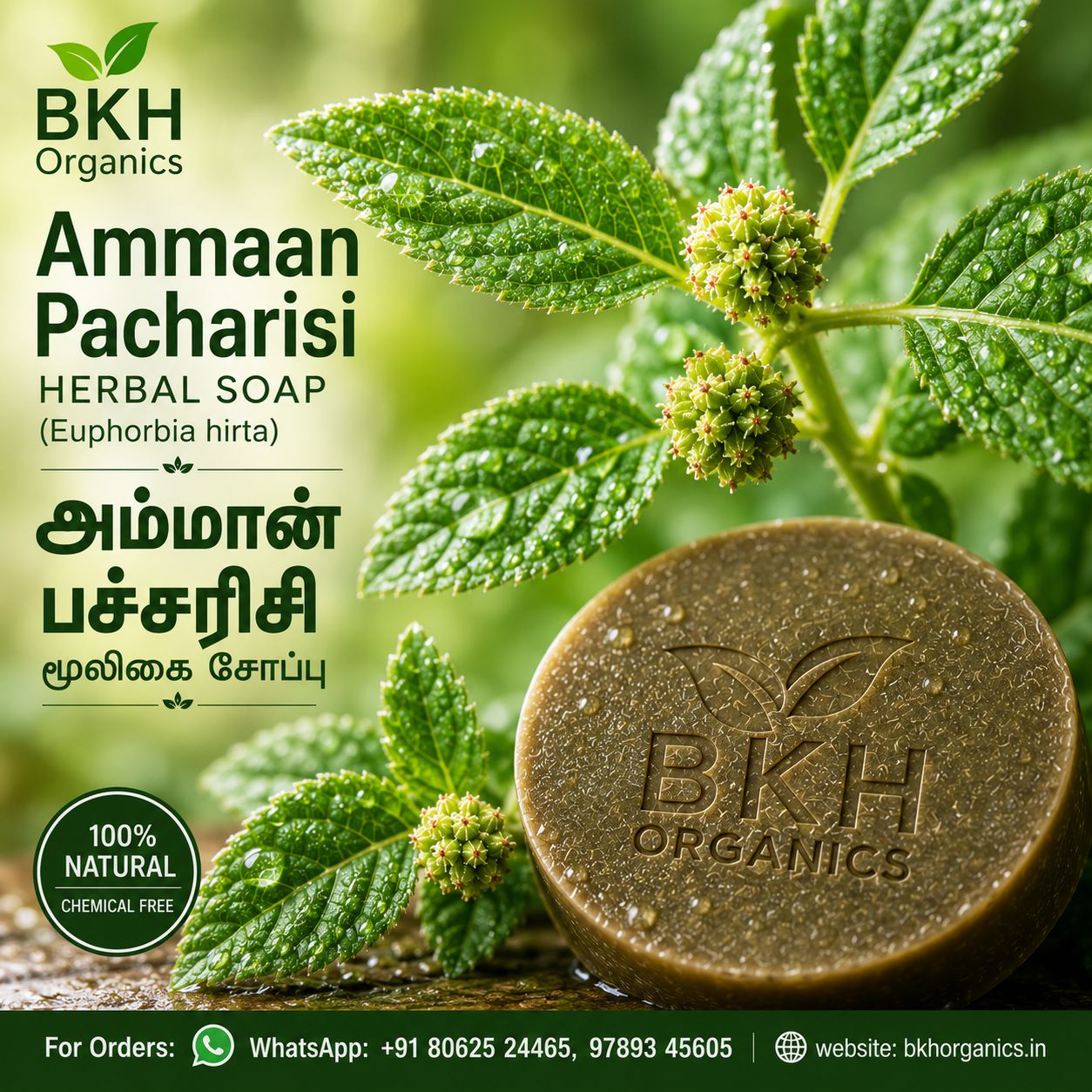 BKH Organics herbal soap with green leaves on a natural background, Ammaan Pacharisi (Euphorbia hirta)