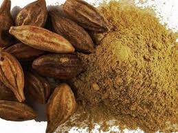 Kadukkai Powder 100g - BKH Organics