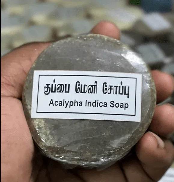 Hand holding a round soap bar labeled 'Acalypha Indica Soap' with a blurred background. BKH Organics Kuppaimeni Soap