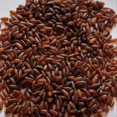 Close-up of brown rice grains on a white background Mappillai Samba Rice 1kg - BKH Organics