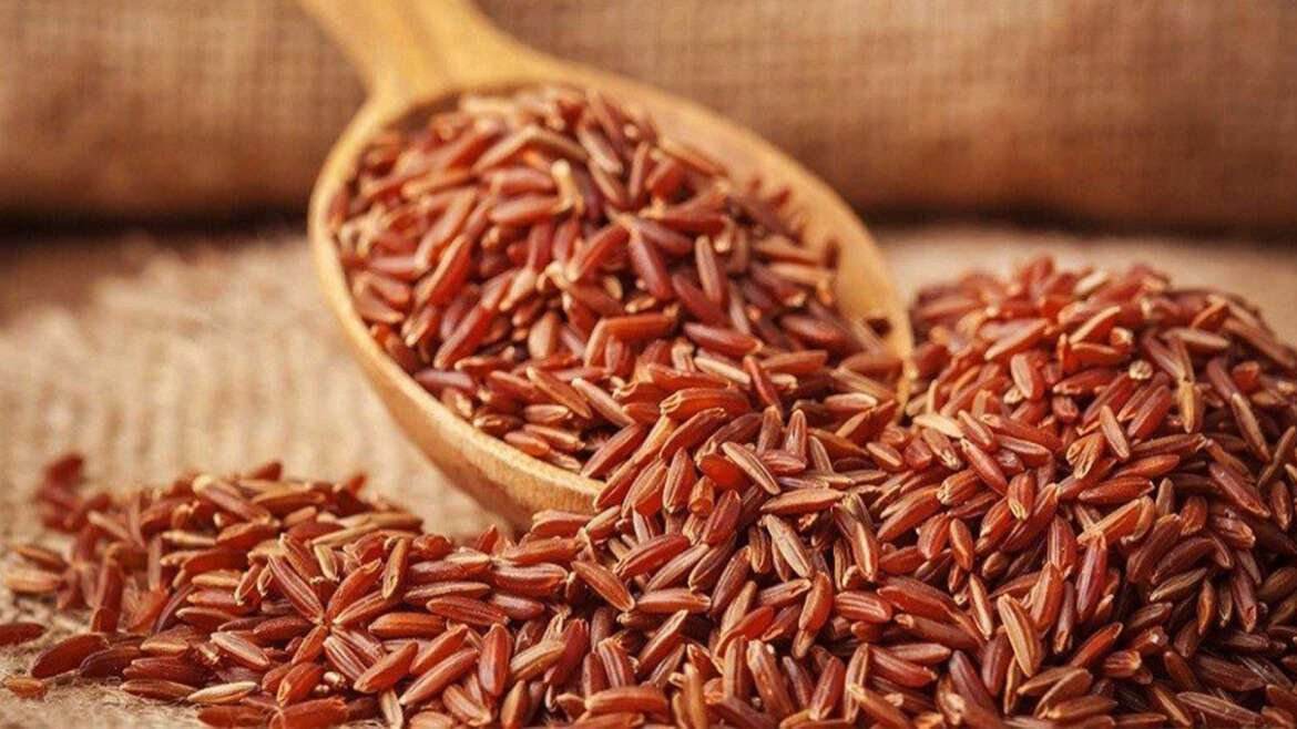 Red rice grains with a wooden spoon on a rustic background Mappillai Samba Rice 1kg - BKH Organics