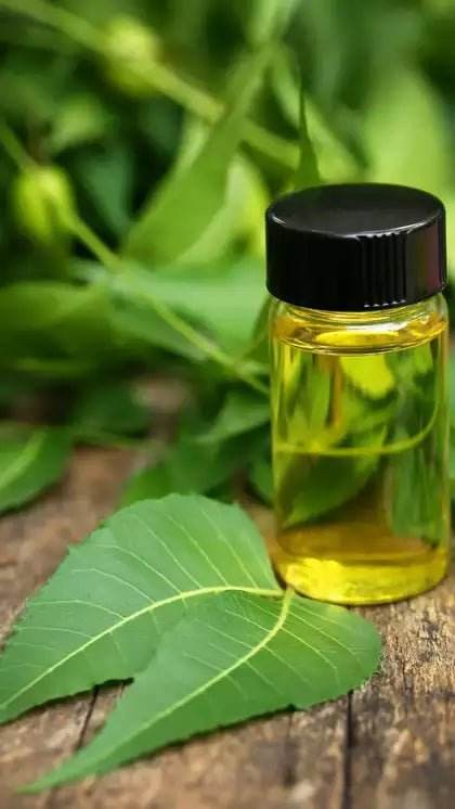 Small bottle of oil with a black cap on a wooden surface with green leaves