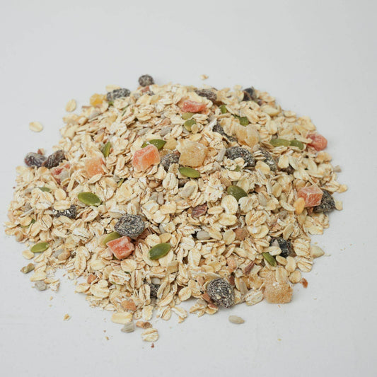 Muesli with oats, nuts, and dried fruits on a light gray background. Sugarfree Muesli 250g - BKH Organics