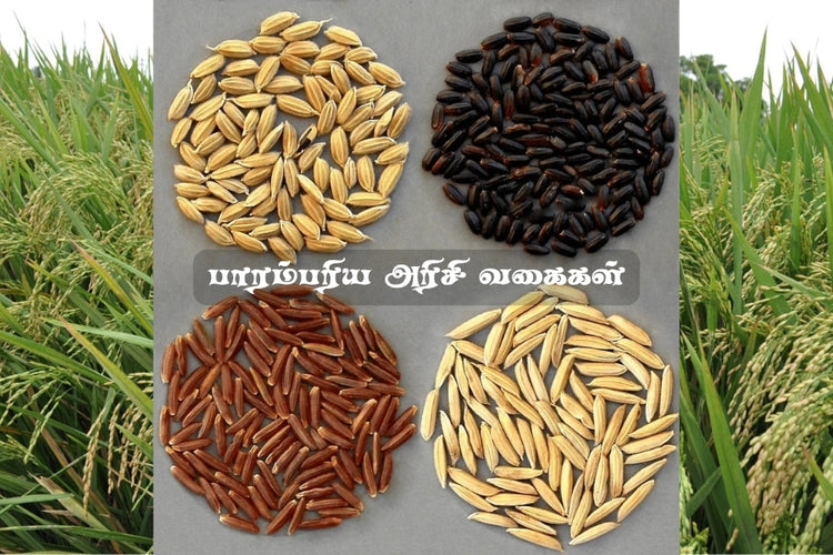 Traditional Rice