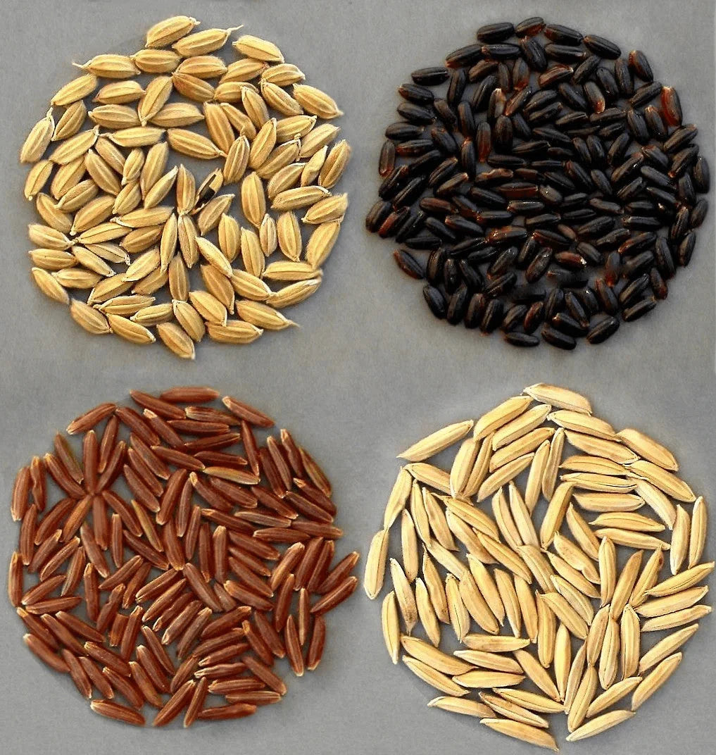 Traditional Rice - BKH Organics