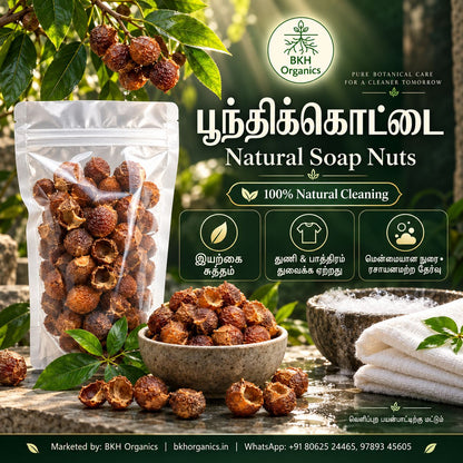 A clear stand-up pouch filled with natural soap nuts stands beside a bowl and stone dish containing dried soap nuts, with green leaves and hanging fruit in the background. The image includes the BKH Organics logo and promotional text in English and Tamil.