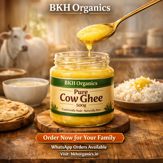 BKH Organics Pure Cow Ghee jar with a spoonful of ghee being poured over it, cow in the background.