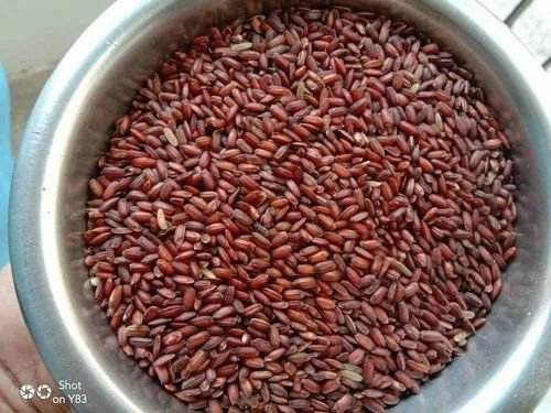 Karunguruvai Rice 1Kg - BKH Organics