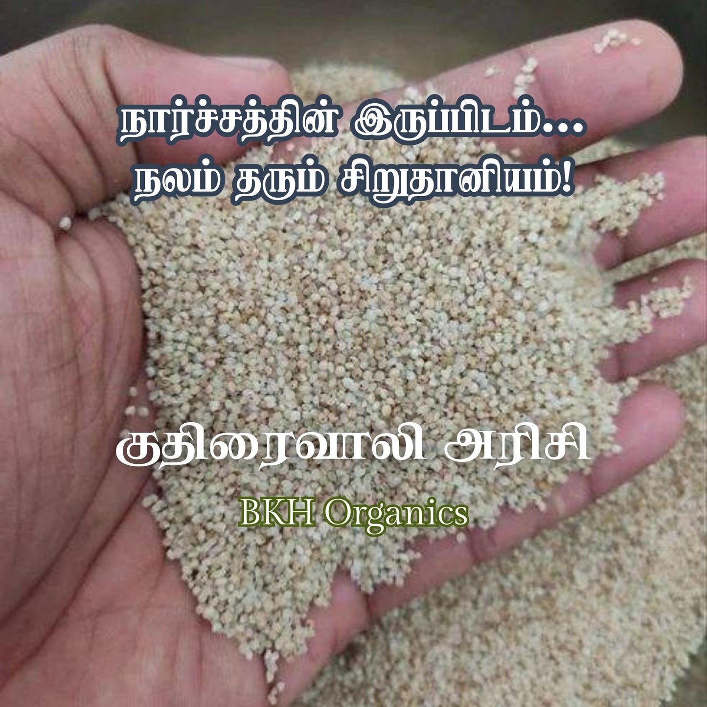 Hand holding a small amount of light-colored seeds with text overlay