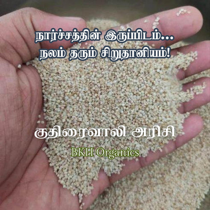 Hand holding a small amount of light-colored seeds with text overlay