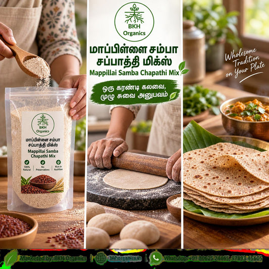 A promotional collage for BKH Organics Mappillai Samba Chapati Mix, showing a person holding a wooden spoon with ground rice, a hand rolling flatbread, a stack of cooked chapatis on a banana leaf, and a bowl of prepared food. The center panel includes the BKH Organics logo and Tamil/English product text. BKH Organics Mappillai Samba Chapathi Mix (தமிழ்: மாப்பிள்ளை சம்பா சப்பாத்தி மிக்ஸ், తెలుగు: మాప్పిళ్ళై సాంబ చపాతీ పిండి, ಕನ್ನಡ: ಮಾಪಿಳ್ಳೈ ಸಾಂಬಾ ಚಪಾತಿ ಹಿಟ್ಟು, മലയാളം: മാപ്പിളൈ സാമ്പ ചപ്പാത്തി പൊടി, ತುಳು: ಮಾಪ