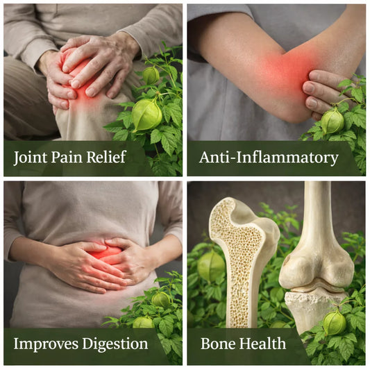Collage of images showing joint pain, anti-inflammatory effects, improved digestion, and bone health with green plants in the background. BKH Organics