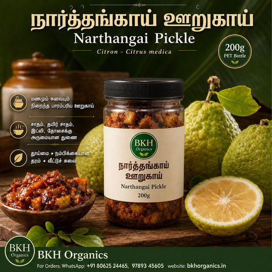 BKH Organics நார்த்தங்காய் ஊறுகாய் | Narthangai Pickle 200g
(Citron -Citrus medica)