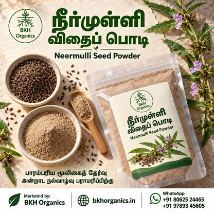 BKH Organics Neermulli Seed Powder (தமிழ்: நீர்முள்ளி விதை பொடி, తెలుగు: నీరుగొబ్బి గింజల పొడి / కోకిలాక్ష పొడి, ಕನ್ನಡ: ಕೊಳವಳಿಕೆ ಬೀಜದ ಪುಡಿ / ನೀರುಗೊಬ್ಬಿ, മലയാളം: വയൽച്ചുള്ളി വിത്ത് പൊടി, ತುಳು: ಕೊಳವಳಿಕೆ ಬಿತ್ತ್‌ದ ಪೊಡಿ) Hygrophila auriculata seeds powder pouch with bowls of whole seeds, fine herbal powder, and purple marsh barbel flowers