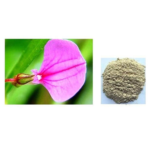 Oridhazh Thaamarai Powder 100g - BKH Organics