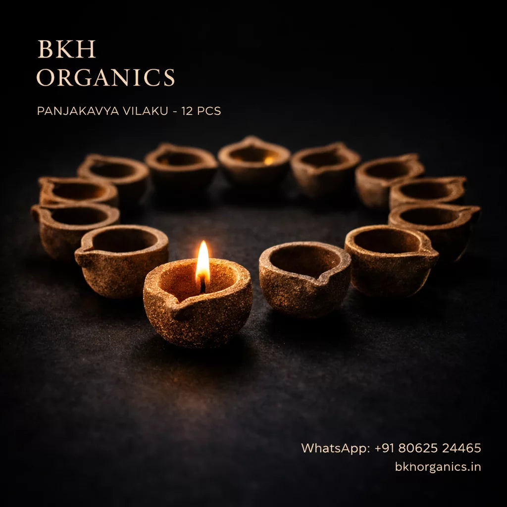 BKH Organics Panjakavya Vilaku oil lamps arranged in a circle with one lit on a dark background.
