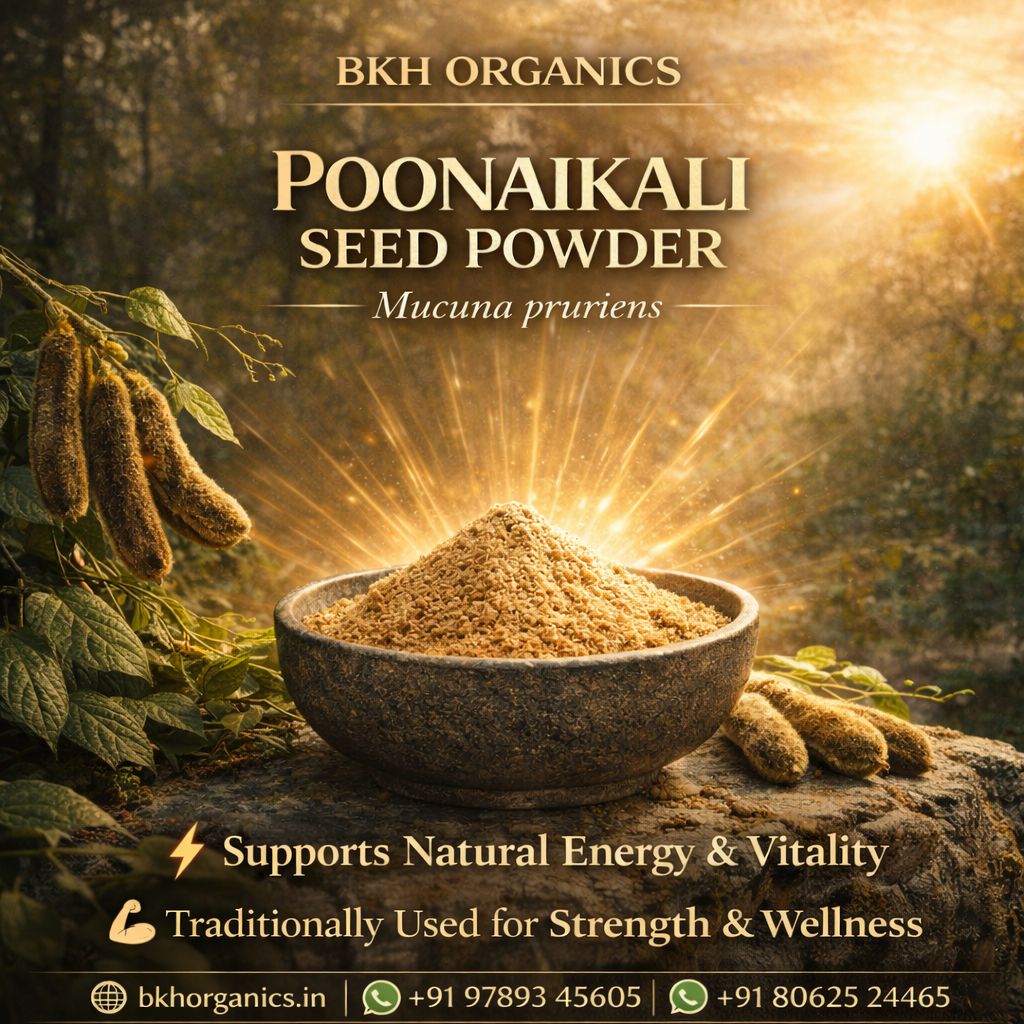 Poonaikali Seeds Powder 100g