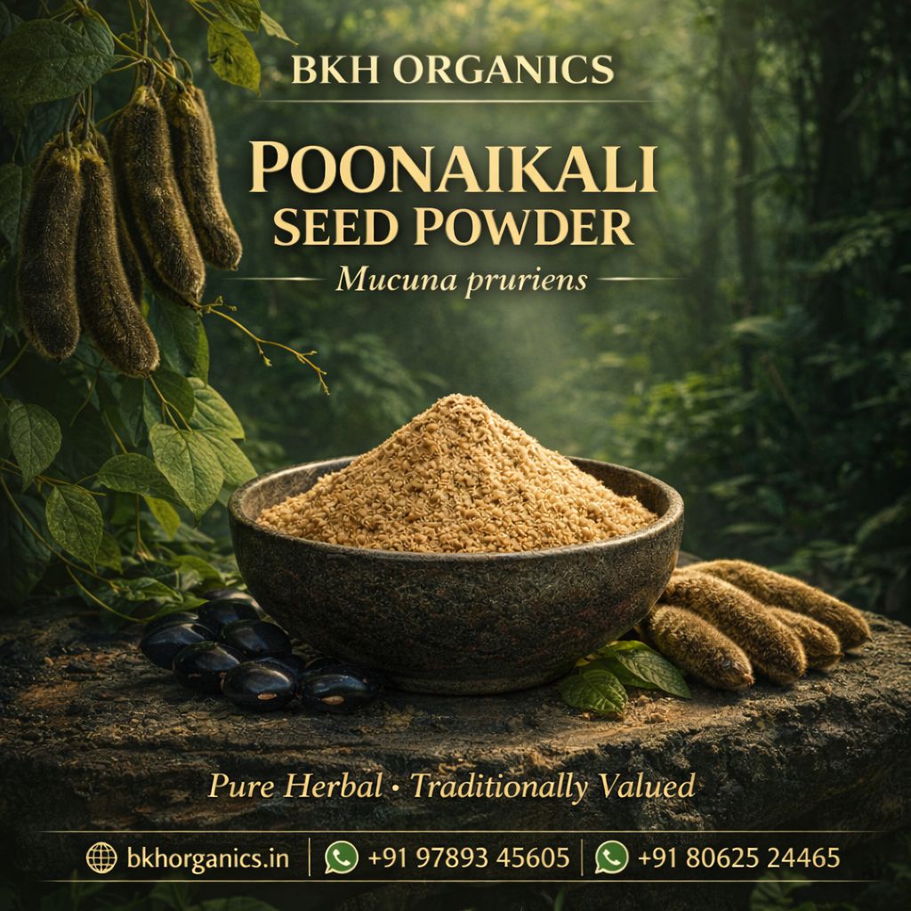 Bowl of Poonaikali seed powder with Mucuna pruriens plants and leaves on a dark background.