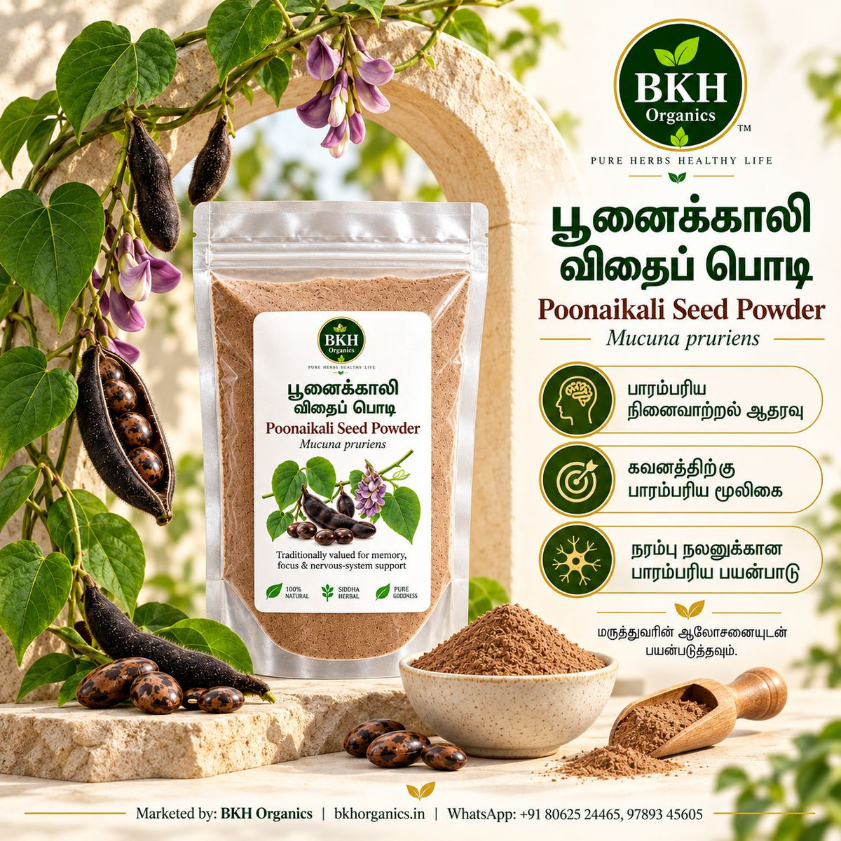 BKH Organics Poonaikali Vithai Podi (பூனைக்காலி விதைப் பொடி) natural Siddha herbal Mucuna pruriens powder