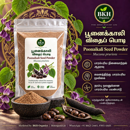 BKH Organics Poonaikali Vithai Podi (பூனைக்காலி விதைப் பொடி) natural Siddha herbal Mucuna pruriens powder