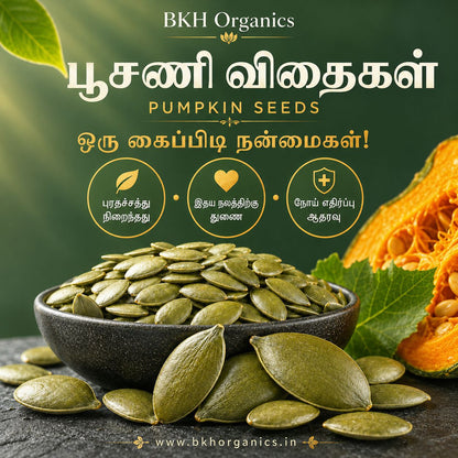 Promotional graphic for BKH Organics Pumpkin Seeds, showing a dark bowl filled with green pumpkin seeds, scattered seeds on a dark surface, a sliced orange pumpkin, and Tamil text on a dark green background. BKH Organics Crunchy Pumpkin Seeds (தமிழ்: பூசணி விதைகள், తెలుగు: గుమ్మడికాయ గింజలు, ಕನ್ನಡ: ಕುಂಬಳಕಾಯಿ ಬೀಜಗಳು, മലയാളം: മത്തങ്ങ വിത്തുകൾ, ತುಳು: ಕುಂಬುಡದ ಬಿತ್ತ್) clear pouch with roasted green pepitas and fresh pumpkin slice