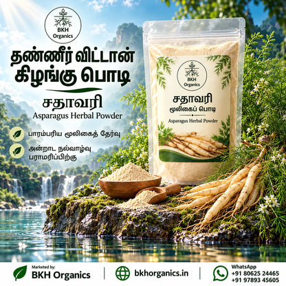 BKH Organics Thanneer Vittal Kizhangu / Shatavari Herbal Powder (தமிழ்: தண்ணீர் விட்டான் கிழங்கு பொடி / சதாவரி, తెలుగు: శతావరి పొడి / పిల్లిపీచర గడ్డల పొడి, ಕನ್ನಡ: ಶತಾವರಿ ಪುಡಿ, മലയാളം: ശതാവരി കിഴങ്ങ് പൊടി, ತುಳು: ಶತಾವರಿ ಕಿಲಂಗ್‌ದ ಪೊಡಿ) Asparagus racemosus powder pouch with fresh wild asparagus roots and wooden bowl near a scenic river waterfall