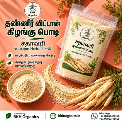 BKH Organics Thanneer Vittal Kizhangu / Shatavari Herbal Powder (தமிழ்: தண்ணீர் விட்டான் கிழங்கு பொடி / சதாவரி, తెలుగు: శతావరి పొడి / పిల్లిపీచర గడ్డల పొడి, ಕನ್ನಡ: ಶತಾವರಿ ಪುಡಿ, മലയാളം: ശതാവരി കിഴങ്ങ് പൊടി, ತುಳು: ಶತಾವರಿ ಕಿಲಂಗ್‌ದ ಪೊಡಿ) Asparagus racemosus powder pouch with fresh wild asparagus roots and wooden bowl near a scenic river waterfall