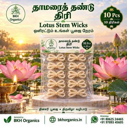 BKH Organics Pure Lotus Stem Wicks / Thamarai Thandu Thiri (தமிழ்: தாமரைத் தண்டு திரி, తెలుగు: తామర కాడ వత్తులు, ಕನ್ನಡ: ಕಮಲದ ಹೂವಿನ ನಾರಿನ ಬತ್ತಿ / ತಾವರೆ ನಾರಿನ ಬತ್ತಿ, മലയാളം: താമര നൂൽ തിരി, ತುಳು: ತಾವರೆ ನಾರ್‌ದ ತಿರಿ) 10 pcs pooja wick pack displayed with lit brass oil lamp and blooming pink lotuses