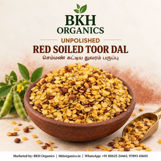 BKH Organics Unpolished Red Soiled Toor Dal (தமிழ்: செம்மண் கட்டிய துவரம் பருப்பு, తెలుగు: ఎర్రమట్టి కందిపప్పు, ಕನ್ನಡ: ಕೆಮ್ಮಣ್ಣಿನ ತೊಗರಿ ಬೇಳೆ, മലയാളം: ചെമ്മൺ തുവരപ്പരിപ്പ്, ತುಳು: ಕೆಮ್ಮಣ್ಣ್ದ ತೊಗರಿ ಬೇಳೆ) pouch with split pigeon peas in a clay pot and fresh pod plants on red soil