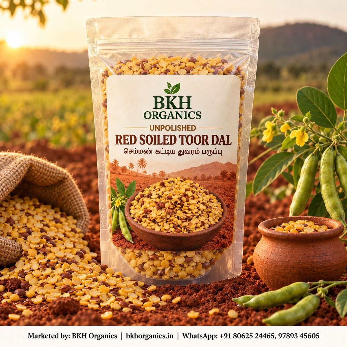 BKH Organics Unpolished Red Soiled Toor Dal (தமிழ்: செம்மண் கட்டிய துவரம் பருப்பு, తెలుగు: ఎర్రమట్టి కందిపప్పు, ಕನ್ನಡ: ಕೆಮ್ಮಣ್ಣಿನ ತೊಗರಿ ಬೇಳೆ, മലയാളം: ചെമ്മൺ തുവരപ്പരിപ്പ്, ತುಳು: ಕೆಮ್ಮಣ್ಣ್ದ ತೊಗರಿ ಬೇಳೆ) pouch with split pigeon peas in a clay pot and fresh pod plants on red soil