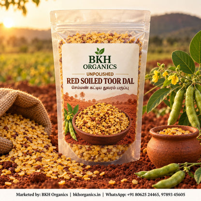 BKH Organics Unpolished Red Soiled Toor Dal (தமிழ்: செம்மண் கட்டிய துவரம் பருப்பு, తెలుగు: ఎర్రమట్టి కందిపప్పు, ಕನ್ನಡ: ಕೆಮ್ಮಣ್ಣಿನ ತೊಗರಿ ಬೇಳೆ, മലയാളം: ചെമ്മൺ തുവരപ്പരിപ്പ്, ತುಳು: ಕೆಮ್ಮಣ್ಣ್ದ ತೊಗರಿ ಬೇಳೆ) pouch with split pigeon peas in a clay pot and fresh pod plants on red soil